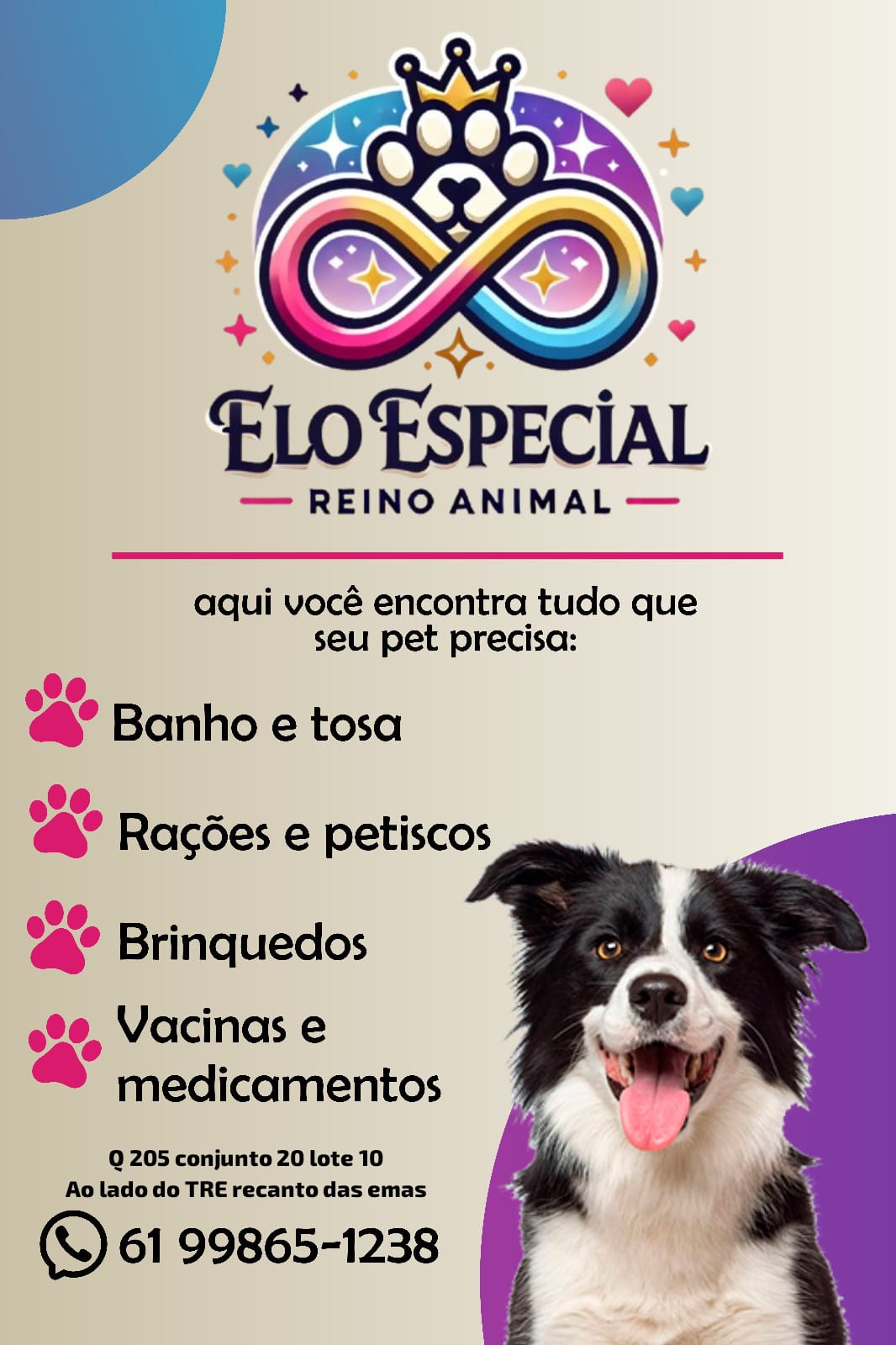spot_img